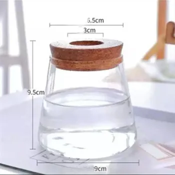 Váza Průhledný hydroponický dekorativní květináč | váza - A