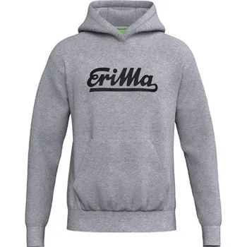 Pánská mikina RETRO mikina, šedá