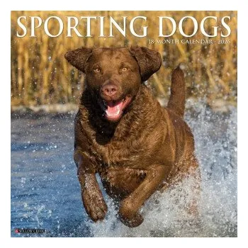 Kalendář Sporting Dogs 2026 12 X 12 Wall Calendar (EN)