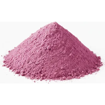 Sušené ovoce Borůvky prášek 20 kg LES FRUITS DU PARADIS