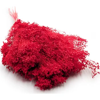 mech-mech.cz Sušený Broom Bloom - Červený