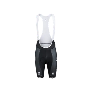 Cyklistika KALAS ALPECIN-PREMIER TECH | Cyklistické kraťasy se šlemi GOFFRATO+ | Velikost: 2/S