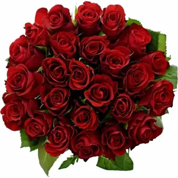 umělá květina Kytice 25 červených růží SIMPLY RED 60 cm