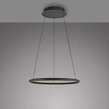 Závěsné svítidlo PAUL NEUHAUS QUILLO 1 - bodové LED integrované