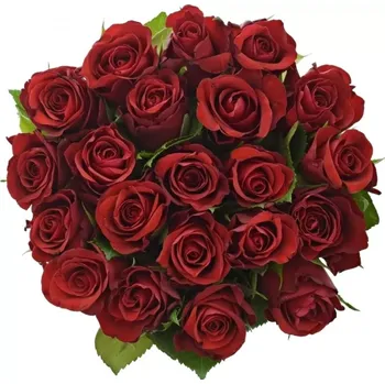 umělá květina Kytice 21 červených růží SIMPLY RED 60 cm