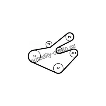 Rozvod motoru Sada drážkového řemene a vodní pumpy CONTINENTAL CTAM 7PK1795WP1
