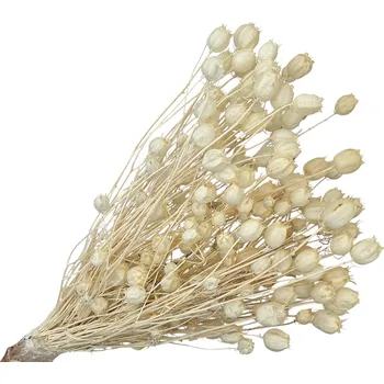 Koření FLOWERIO Sušené květy Černuška - Nigella damascena 100g - bělená