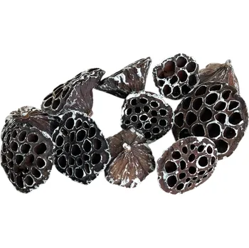 umělá květina FLOWERIO Sušené Lotosové květy 6–8 cm 11ks - zabílené