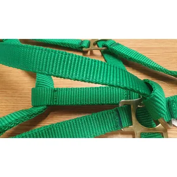 Vybavení pro koně Mámekoně hříběcí nylonová ohlávka Barva: Zelená