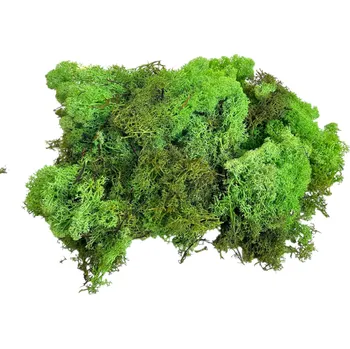 umělá květina FLOWERIO Islandský lišejník, sobí mech 1 kg – světle zelený