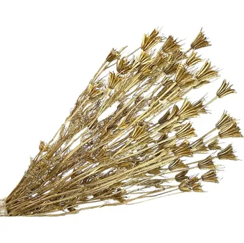 Vánoční dekorace FLOWERIO Sušené květy metalické Černuška - Nigella orientalis 130g - zlaté