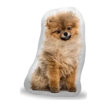 3D polštář ve tvaru Pomeranian (cs, Sablio)