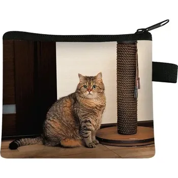 Peněženka Dětská peněženka s motivem kočky - 16