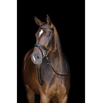 Kožená uzdečka HKM Jana Velikost: PONNY