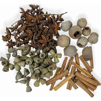 Vánoční dekorace FLOWERIO Sada sušiny na aranžování VOŇAVÉ VÁNOCE cca 200g - badián, eukalyptus, skořice