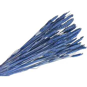 FLOWERIO Sušené klasy pšeničné 150 g – modré