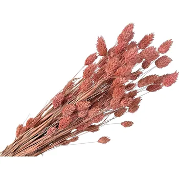 FLOWERIO Sušená tráva Phalaris - Chrastice 100g - starorůžová