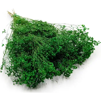 mech-mech.cz Sušený Broom Bloom - Zelený