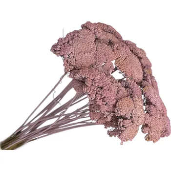 Jedlá dekorace na dort FLOWERIO Sušené květy Řebříček - Achillea 200g - zabílené starorůžové