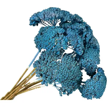 FLOWERIO Sušené květiny Řebříček - Achillea 90g - vintage modrá