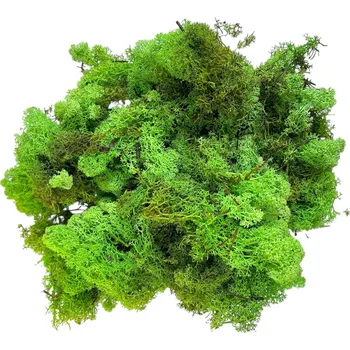 umělá květina FLOWERIO Islandský lišejník, sobí mech 250 g – světle zelený