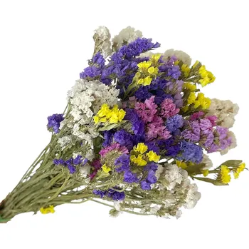 Koření FLOWERIO Sušená limonka - Statice Limonium 100g - barevný mix