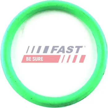 Těsnění motoru Těsnění, pouzdro kolena sacího potrubí FAST FT49434