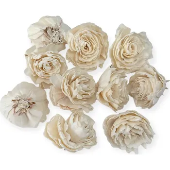 FLOWERIO Aranžérské Shola květy Karafiát Dianthus 6cm 10ks - krémové