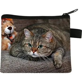 Peněženka Dětská peněženka s motivem kočky - 01