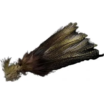 Coq de Leon Pardo Orzuno Olive – limitovaná série (PCO)