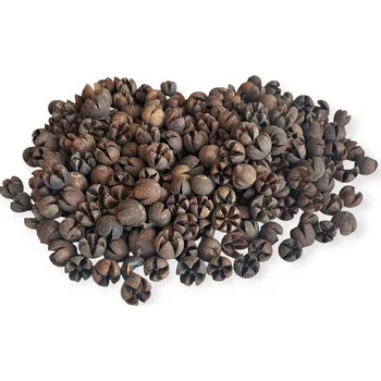 Sušené ovoce FLOWERIO Sušené plody Schima Wallichii - Walachi plody 370g - prírodné