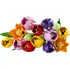 Stavebnice LEGO LEGO The Botanical Collection 11501 Kytice tulipánů