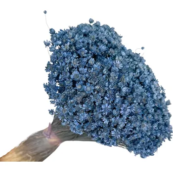 FLOWERIO Sušené květiny Glixia Marcela 75g - modrá