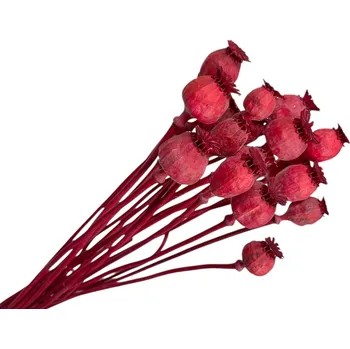 FLOWERIO Sušené makovice se stonkem menší - červené