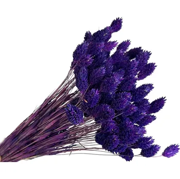 umělá květina FLOWERIO Sušená tráva Phalaris - Chrastice 80g - sytě fialová