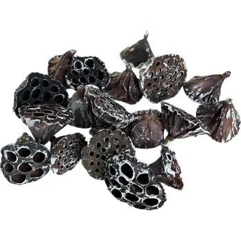 umělá květina FLOWERIO Sušené Lotosové květy 4-6 cm 18ks - zabílené