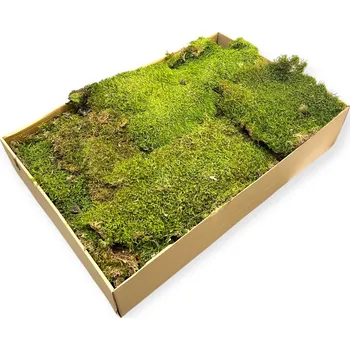 umělá květina FLOWERIO Přírodní lesní mech plátky 700g - zelený