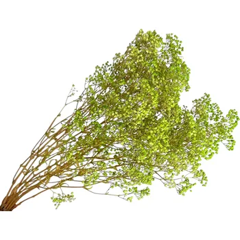 umělá květina FLOWERIO Stabilizovaná Gypsophila - Nevěstin závoj 80g zelená