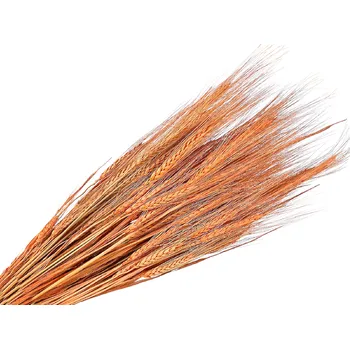 Svatební dekorace FLOWERIO Sušené klasy žitné 150g - meruňkové