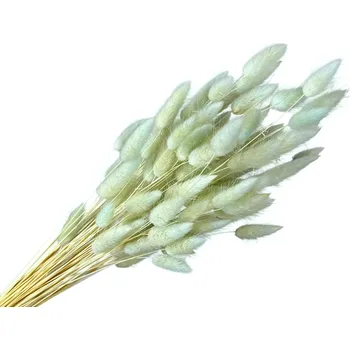 umělá květina FLOWERIO Sušená tráva Lagurus - zaječí ocásek 50g - aqua