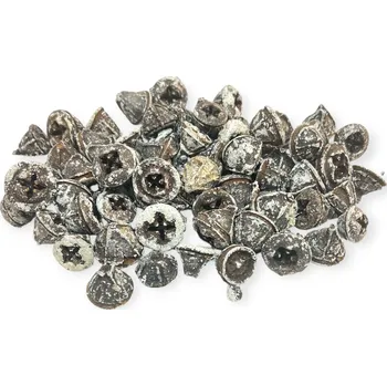 Sušené ovoce FLOWERIO Sušené plody Eukalyptus Globulus 160g - zabílené