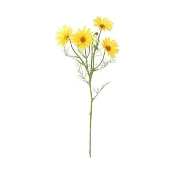 Sazenice Kopretina žlutá 100-0161/YE