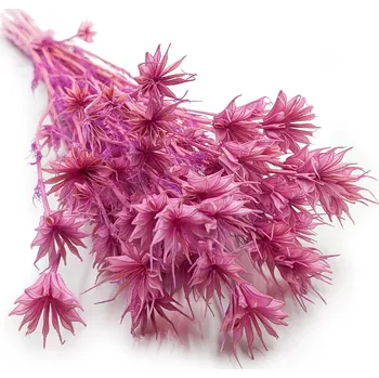 mech-mech.cz Sušená Nigella - (Nigella Orientalis) - lila