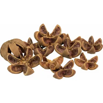 Sušené ovoce FLOWERIO Sušené plody divoký pomeranč Wild Orange 14 ks – přírodní