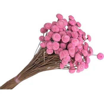 Jedlá dekorace na dort FLOWERIO Sušené květiny Botao Amarelino 80g - růžové