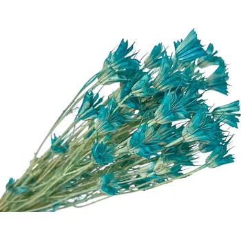 umělá květina FLOWERIO Sušené květiny Černuška - Nigella orientalis 80g - tyrkysové