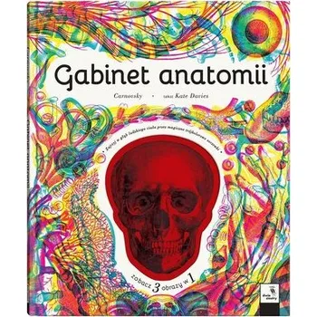 Příroda Gabinet anatomii - Davies Kate