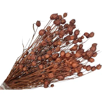 Koření FLOWERIO Sušené květy Černuška - Nigella damascena 100g - hnědá