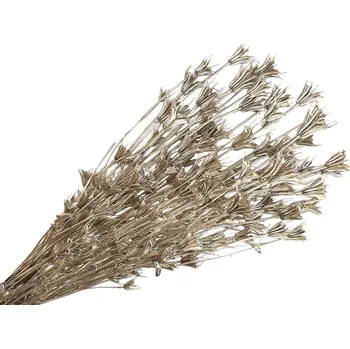 Vánoční dekorace FLOWERIO sušené květy metalické Černuška - Nigella orientalis 130g - zlatá