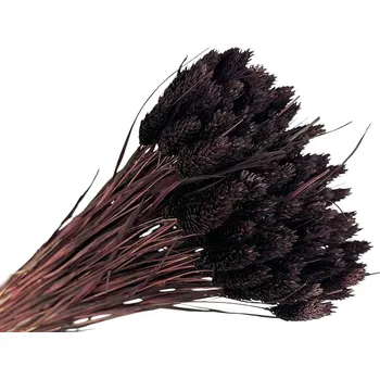 umělá květina FLOWERIO Sušená tráva Phalaris - Chrastice 80g - černohnědá